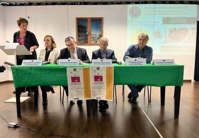 Api: armonia, felicità, sopravvivenza