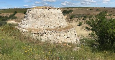 IL TRULLO MURGIANO