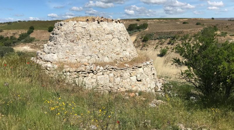 IL TRULLO MURGIANO